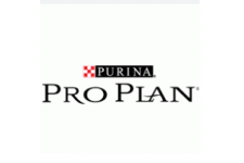 Pro Plan