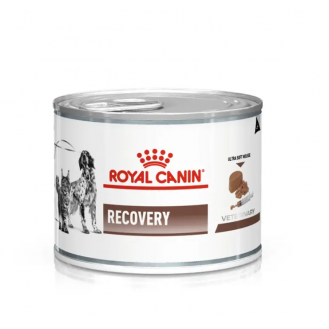 Вологий корм Royal Canin Recovery для собак та котів (паштет) 195 г Вологий корм Royal Canin Recovery для собак та котів (паштет) 195 г