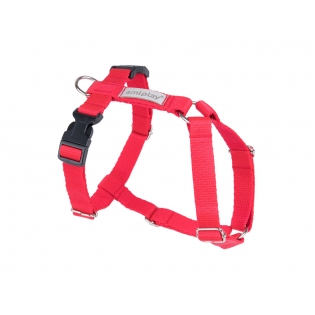  Шлейки Guard Samba S 17-27  26-35 x 1,5cm червоні