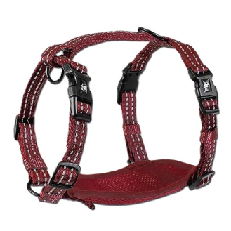 Шлейка нейлонова для собак Alcott Adventure M- червона