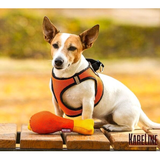 hover image