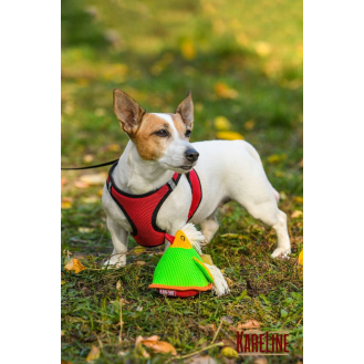 hover image