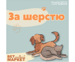 Як піклуватися про фізичне здоров'я улюбленця?